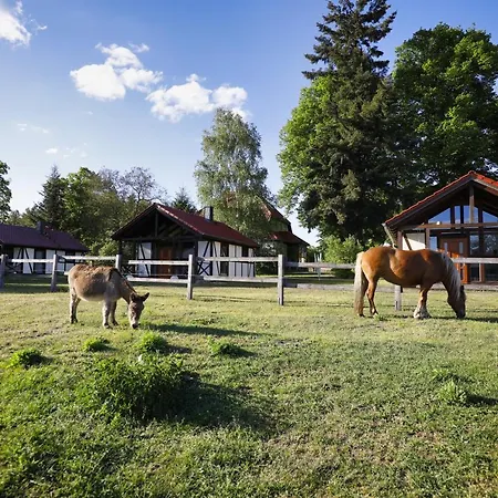 Pferdehof * Schorfheide
