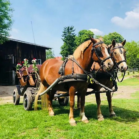 Pferdehof בית נופש שורפהייד
